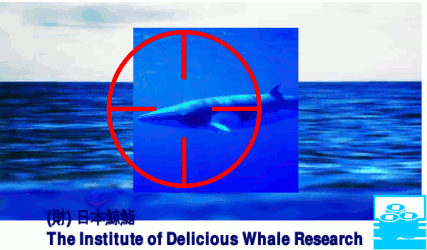 The Institute of Delicious Whale Research